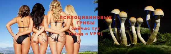 марихуана Инта