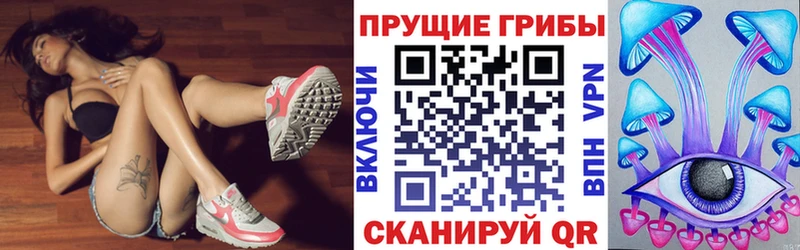 Галлюциногенные грибы MAGIC MUSHROOMS  продажа наркотиков  Красный Кут 